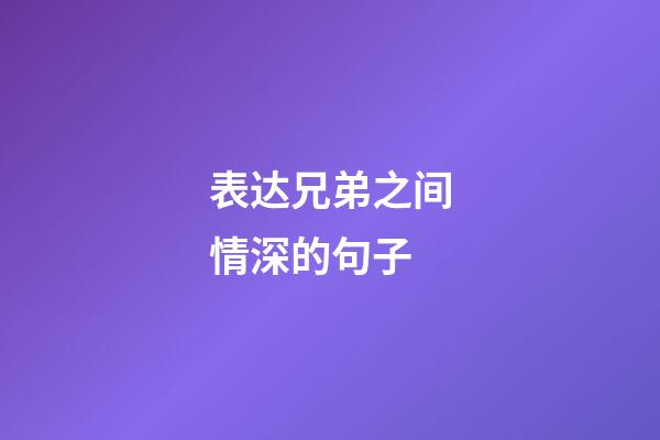 表达兄弟之间情深的句子