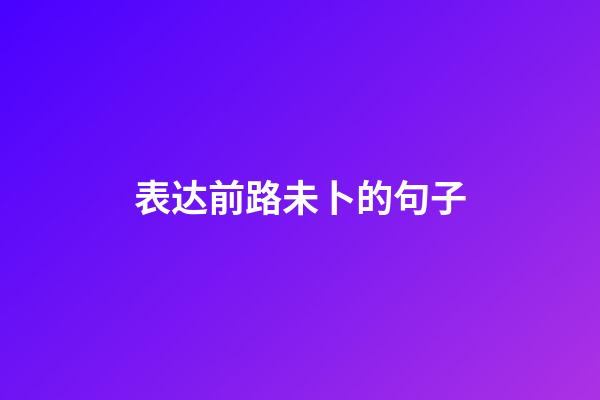 表达前路未卜的句子