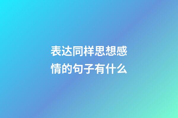 表达同样思想感情的句子有什么