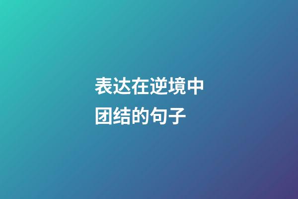 表达在逆境中团结的句子