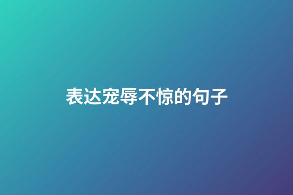 表达宠辱不惊的句子