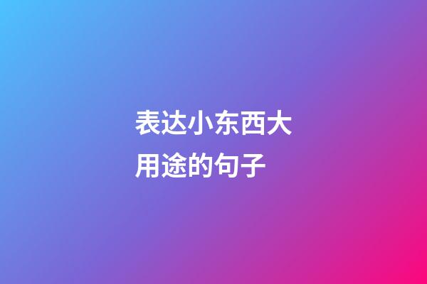 表达小东西大用途的句子