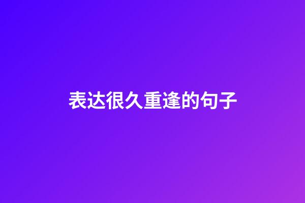 表达很久重逢的句子