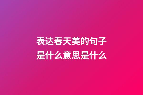 表达春天美的句子是什么意思是什么