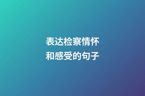 表达检察情怀和感受的句子