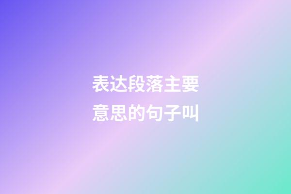 表达段落主要意思的句子叫