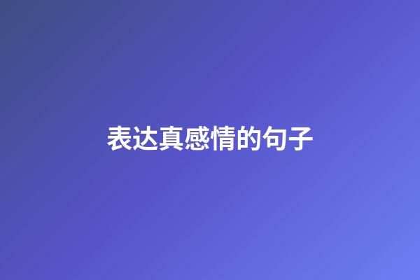 表达真感情的句子