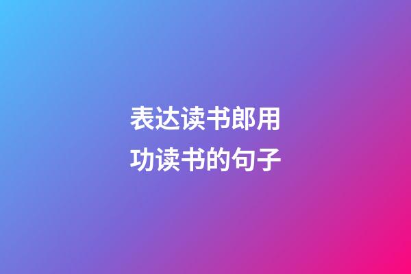 表达读书郎用功读书的句子