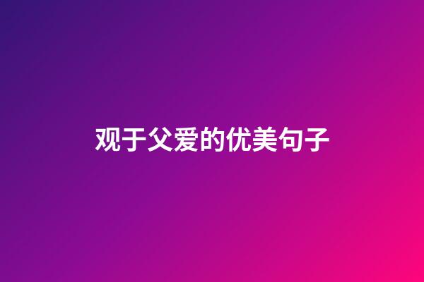 观于父爱的优美句子