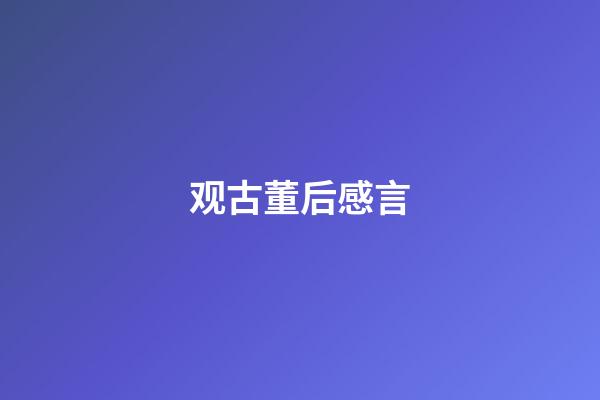 观古董后感言