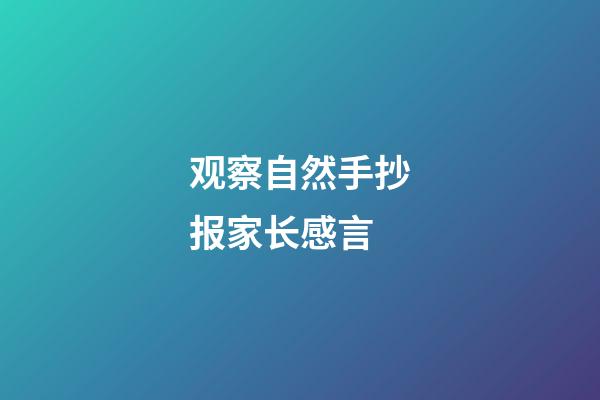 观察自然手抄报家长感言