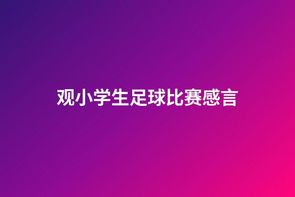 观小学生足球比赛感言