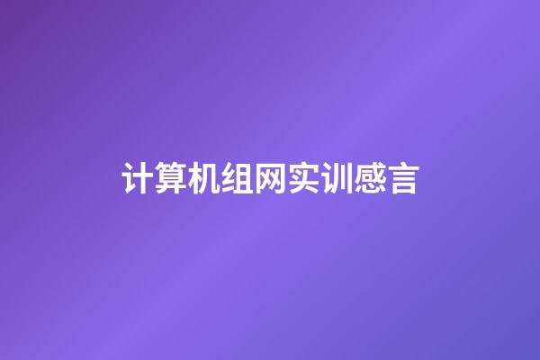 计算机组网实训感言