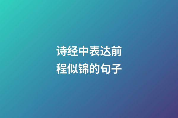 诗经中表达前程似锦的句子