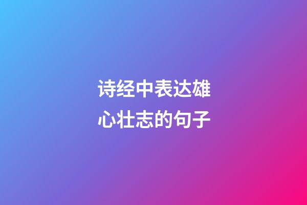 诗经中表达雄心壮志的句子