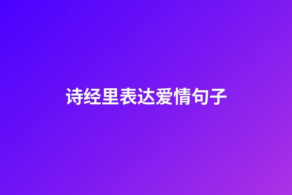 诗经里表达爱情句子