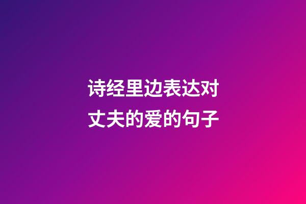 诗经里边表达对丈夫的爱的句子