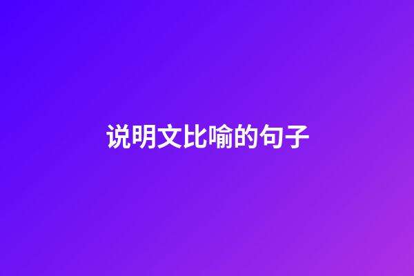 说明文比喻的句子