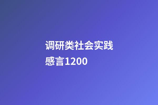 调研类社会实践感言1200