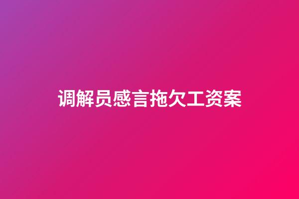 调解员感言拖欠工资案