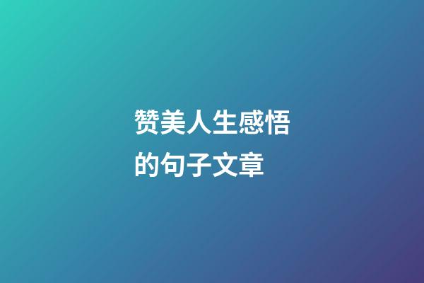 赞美人生感悟的句子文章