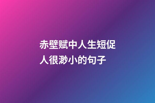 赤壁赋中人生短促人很渺小的句子