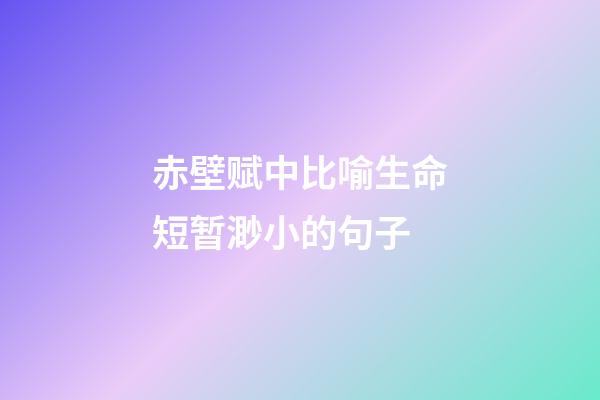 赤壁赋中比喻生命短暂渺小的句子