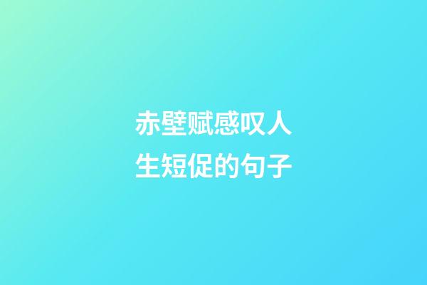 赤壁赋感叹人生短促的句子