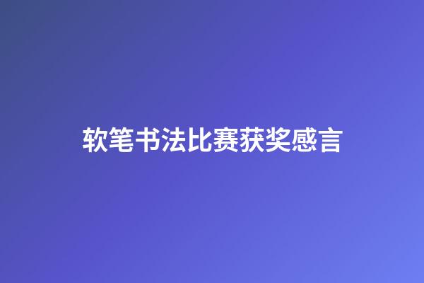 软笔书法比赛获奖感言