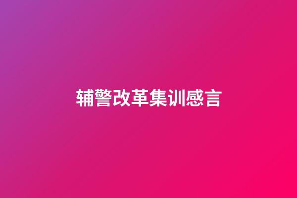 辅警改革集训感言