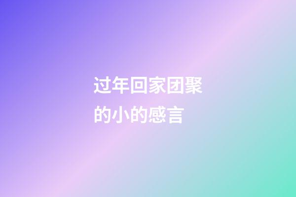 过年回家团聚的小的感言