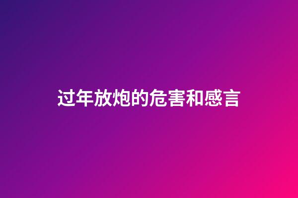 过年放炮的危害和感言