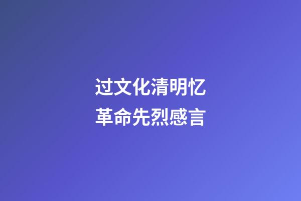 过文化清明忆革命先烈感言