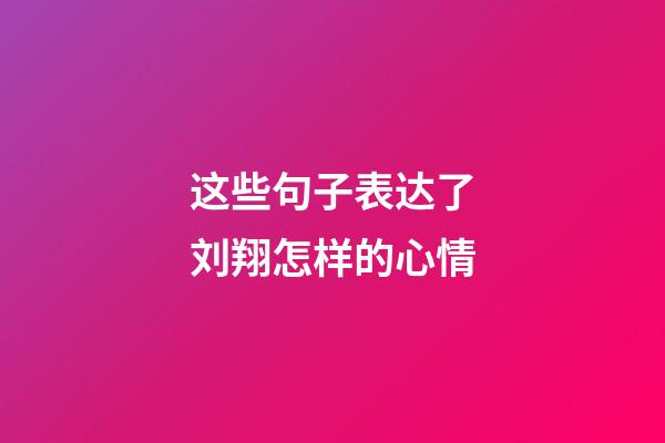 这些句子表达了刘翔怎样的心情