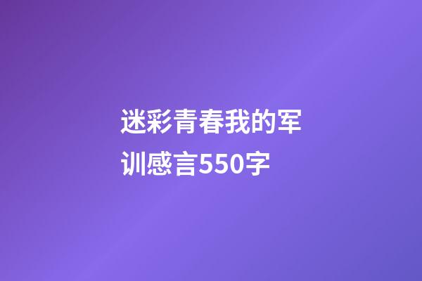 迷彩青春我的军训感言550字