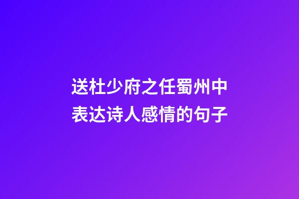 送杜少府之任蜀州中表达诗人感情的句子