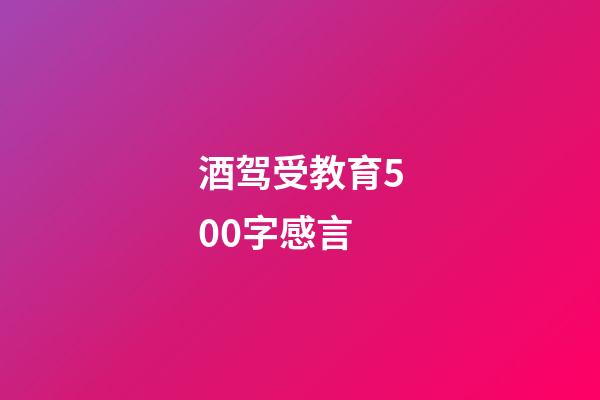 酒驾受教育500字感言