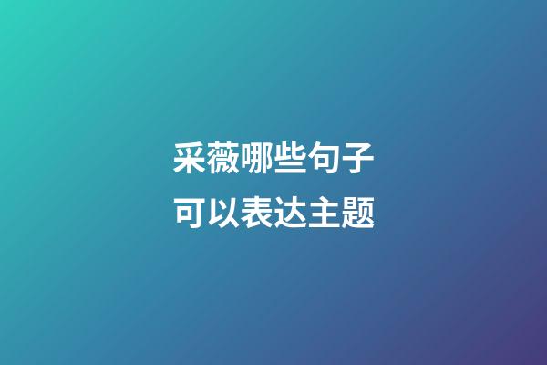 采薇哪些句子可以表达主题