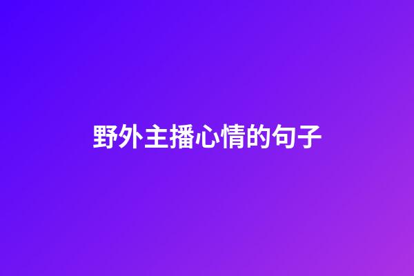 野外主播心情的句子