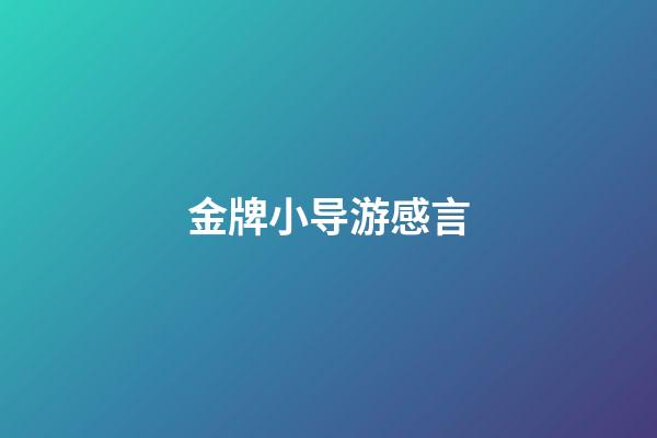 金牌小导游感言