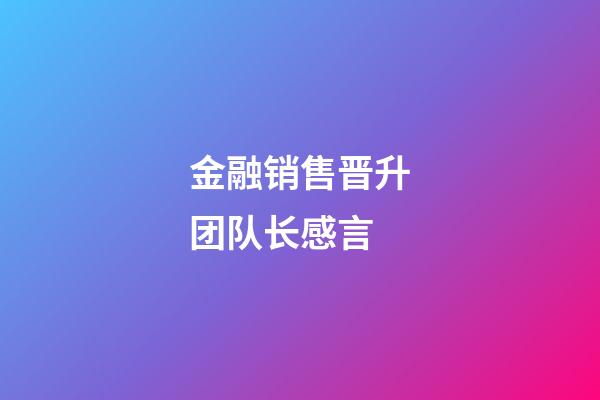 金融销售晋升团队长感言