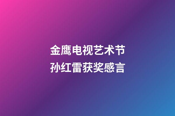 金鹰电视艺术节孙红雷获奖感言