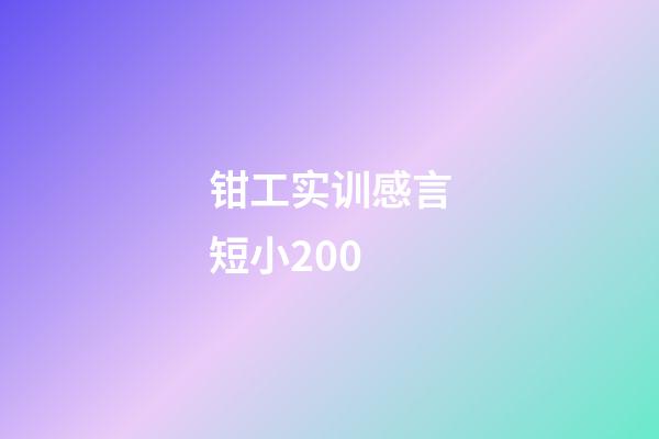 钳工实训感言短小200