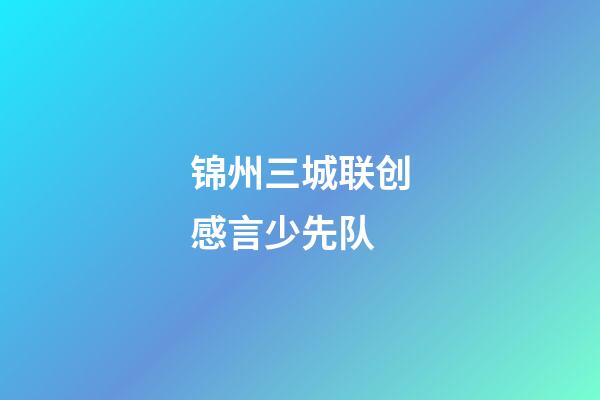 锦州三城联创感言少先队