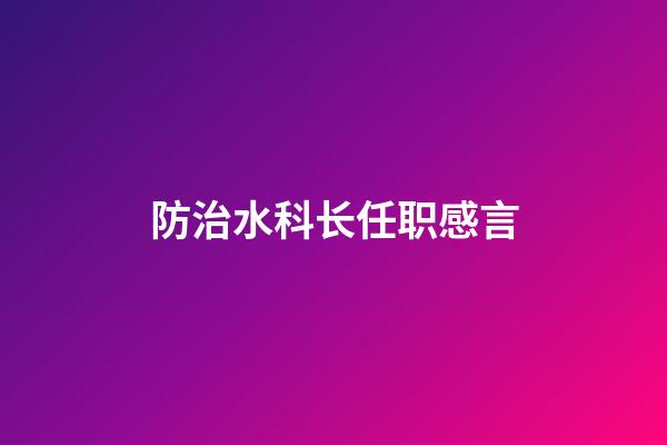 防治水科长任职感言