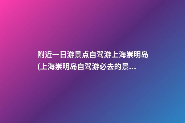 附近一日游景点自驾游上海崇明岛(上海崇明岛自驾游必去的景点)