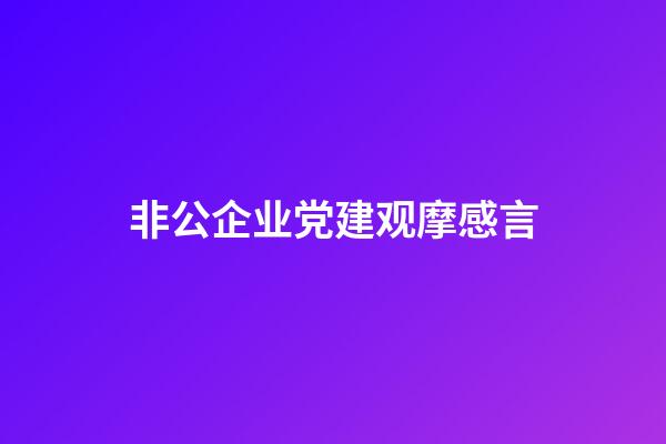 非公企业党建观摩感言