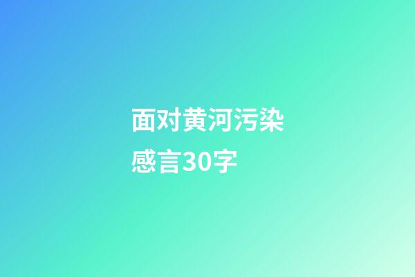 面对黄河污染感言30字