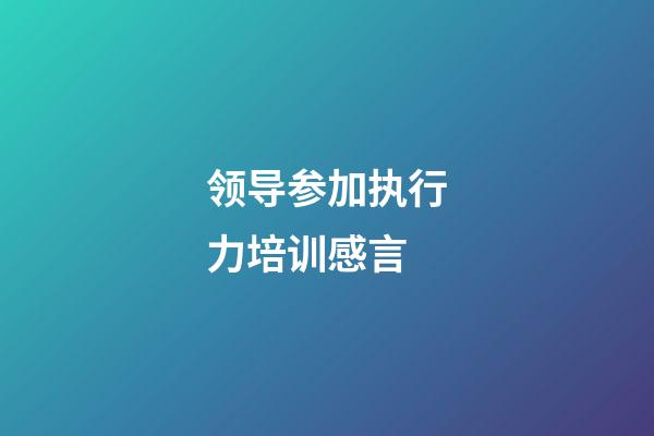 领导参加执行力培训感言