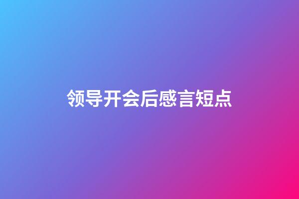 领导开会后感言短点